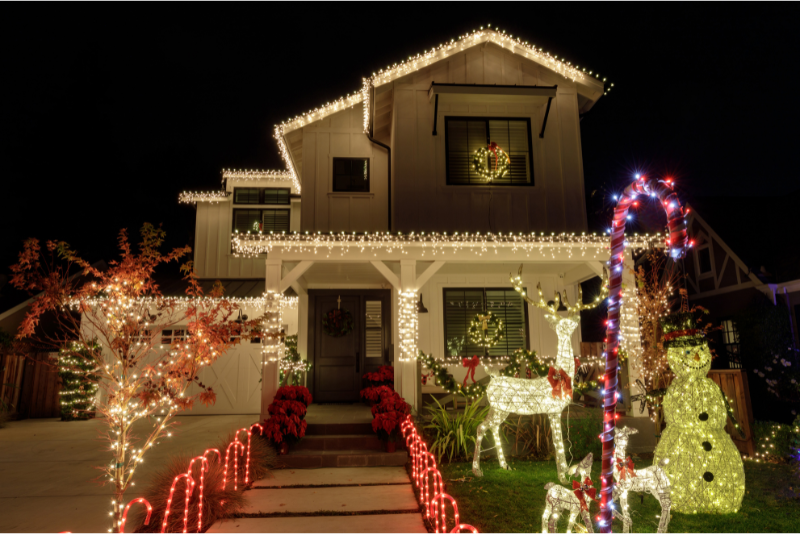 Professional Christmas Light Installation