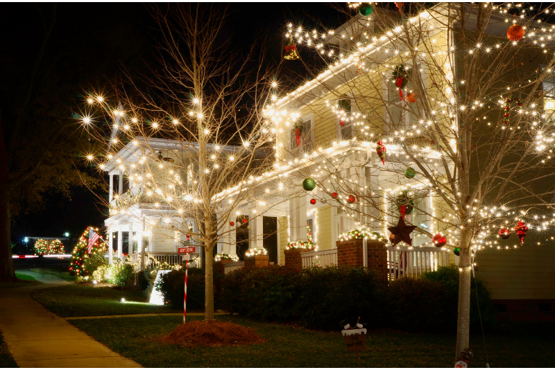 Large property with professional holiday roofline and tree lighting